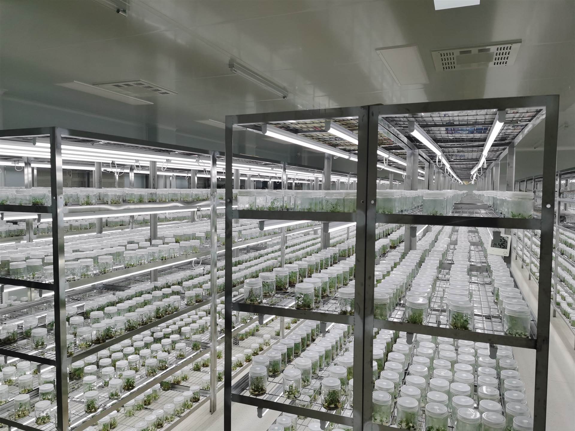 組培室凈化工程該如何設(shè)計？設(shè)計等級是什么？